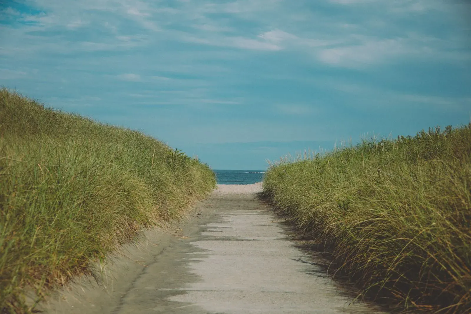 A sandy path between dune grasses