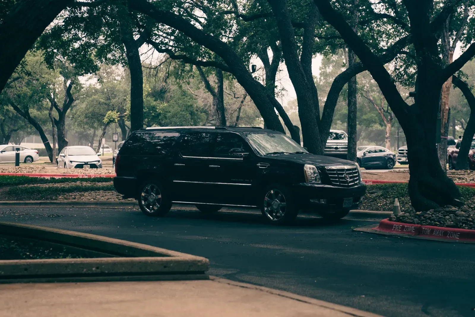 A black luxury SUV parked beneath mature trees