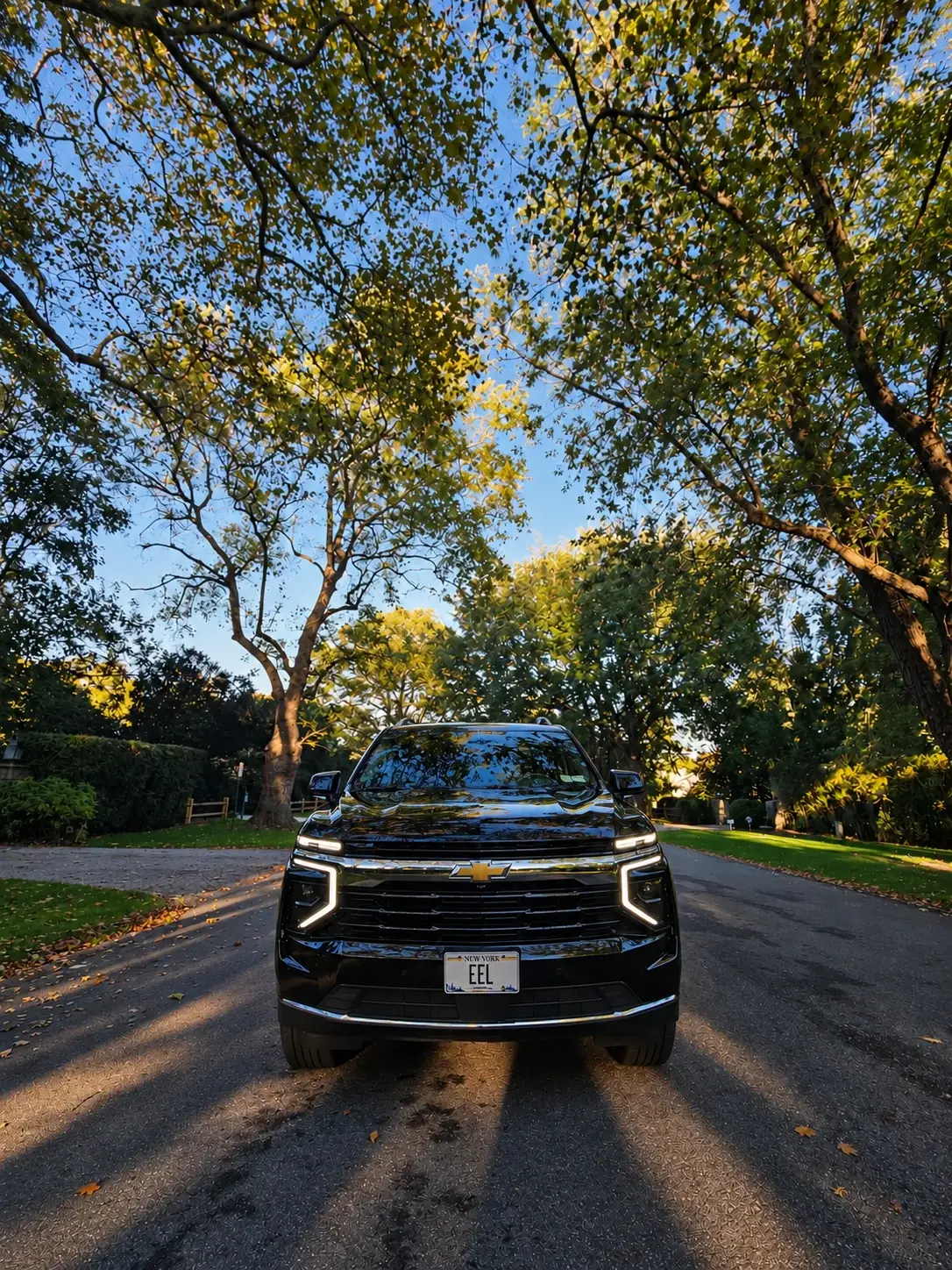 The East End Lux Suburban on a tree-lined driveway in the Hamptons