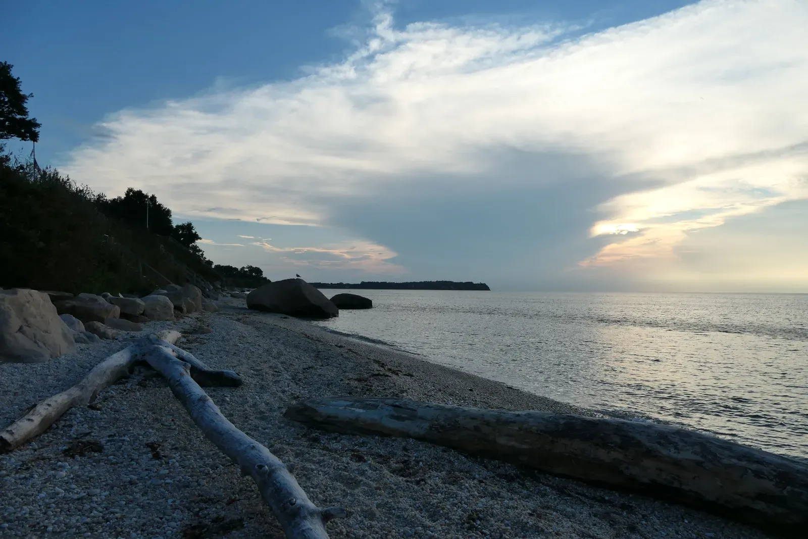 Driftwood on a pebble beach along calm water at sunset on the North Fork