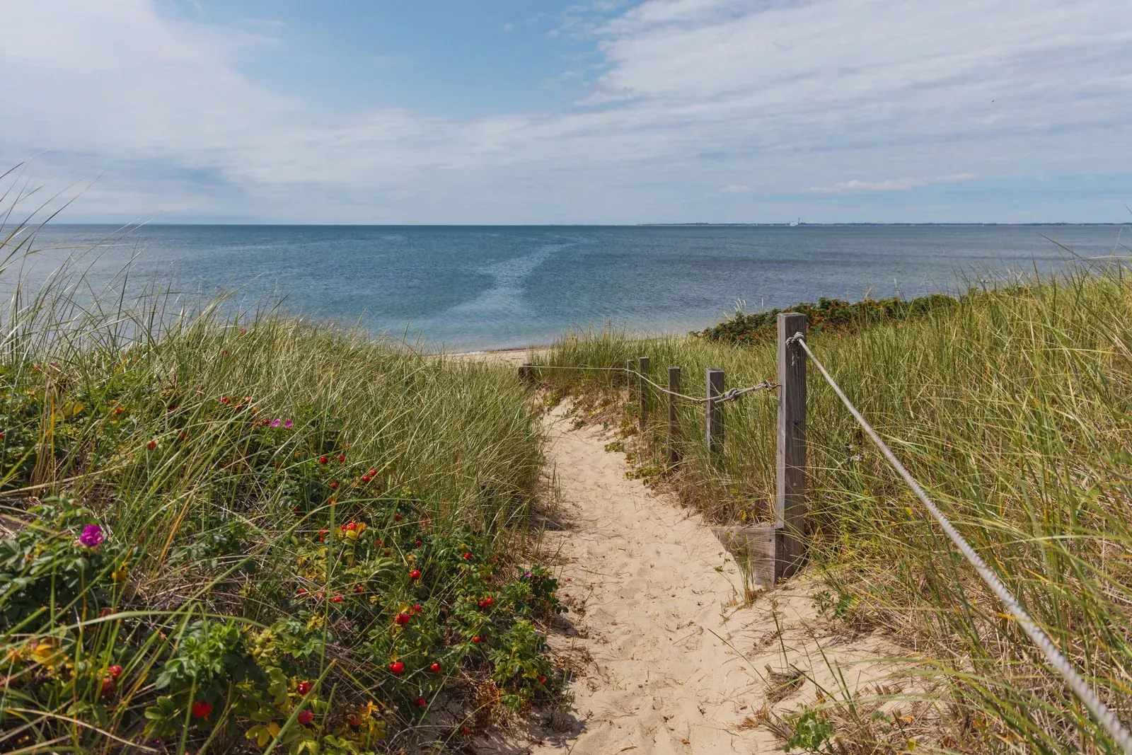 A sand path through dune grass leading to the ocean